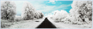 Truck transport, road freight transport, loads for trucking, backway trucks for freight transportation, delivery cargo.